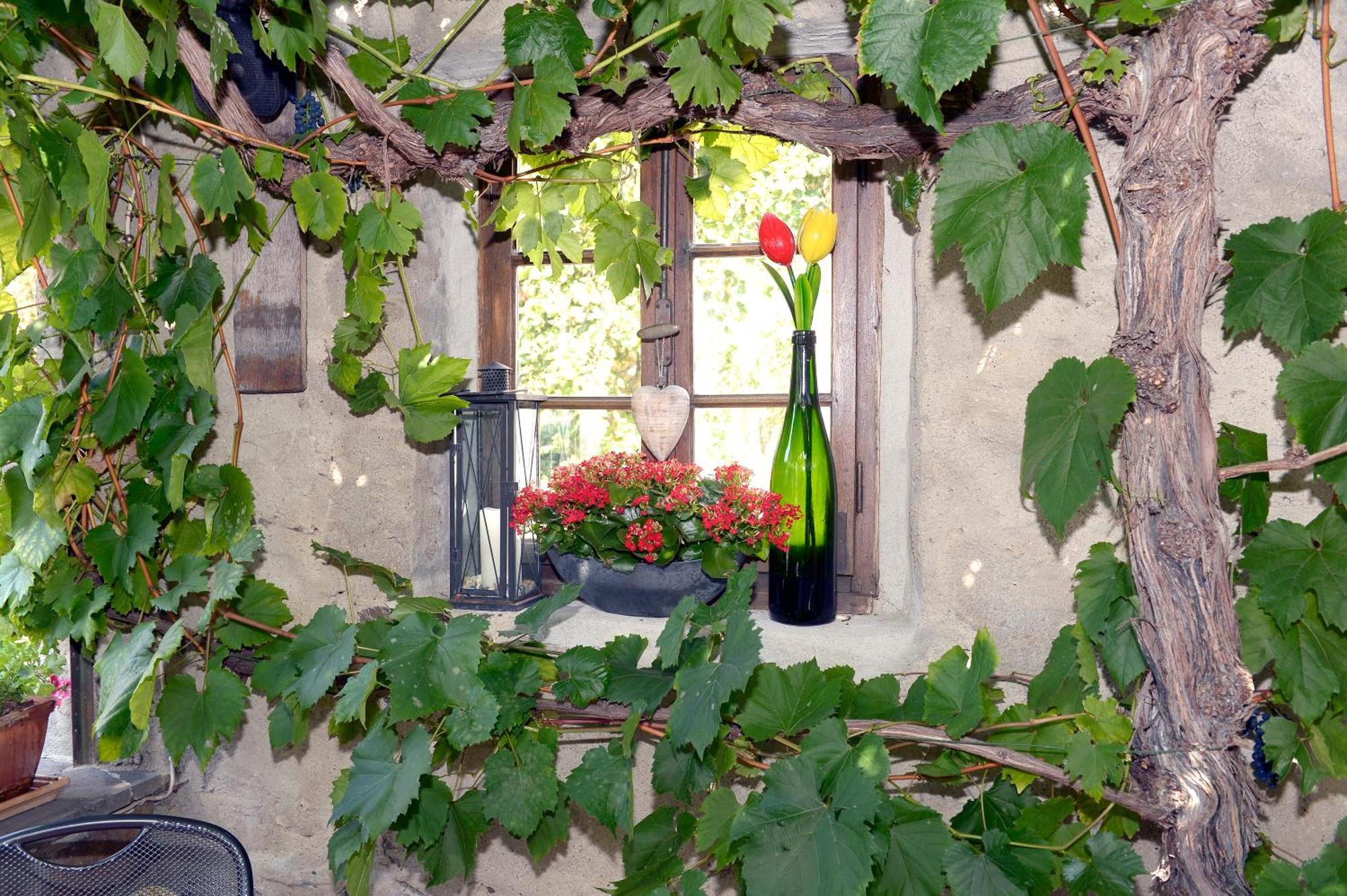 Wein- Und Gaestehaus M. Bai 梅塞尼希 外观 照片