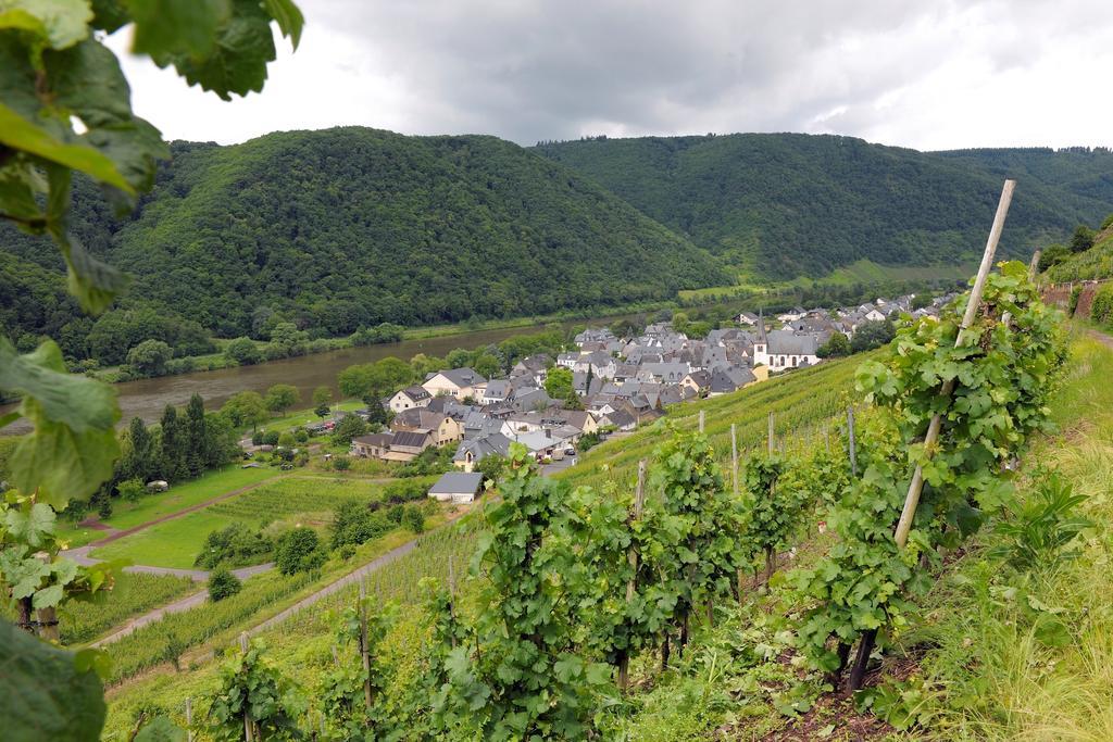 Wein- Und Gaestehaus M. Bai 梅塞尼希 外观 照片